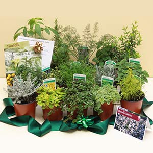 Herb Gifts